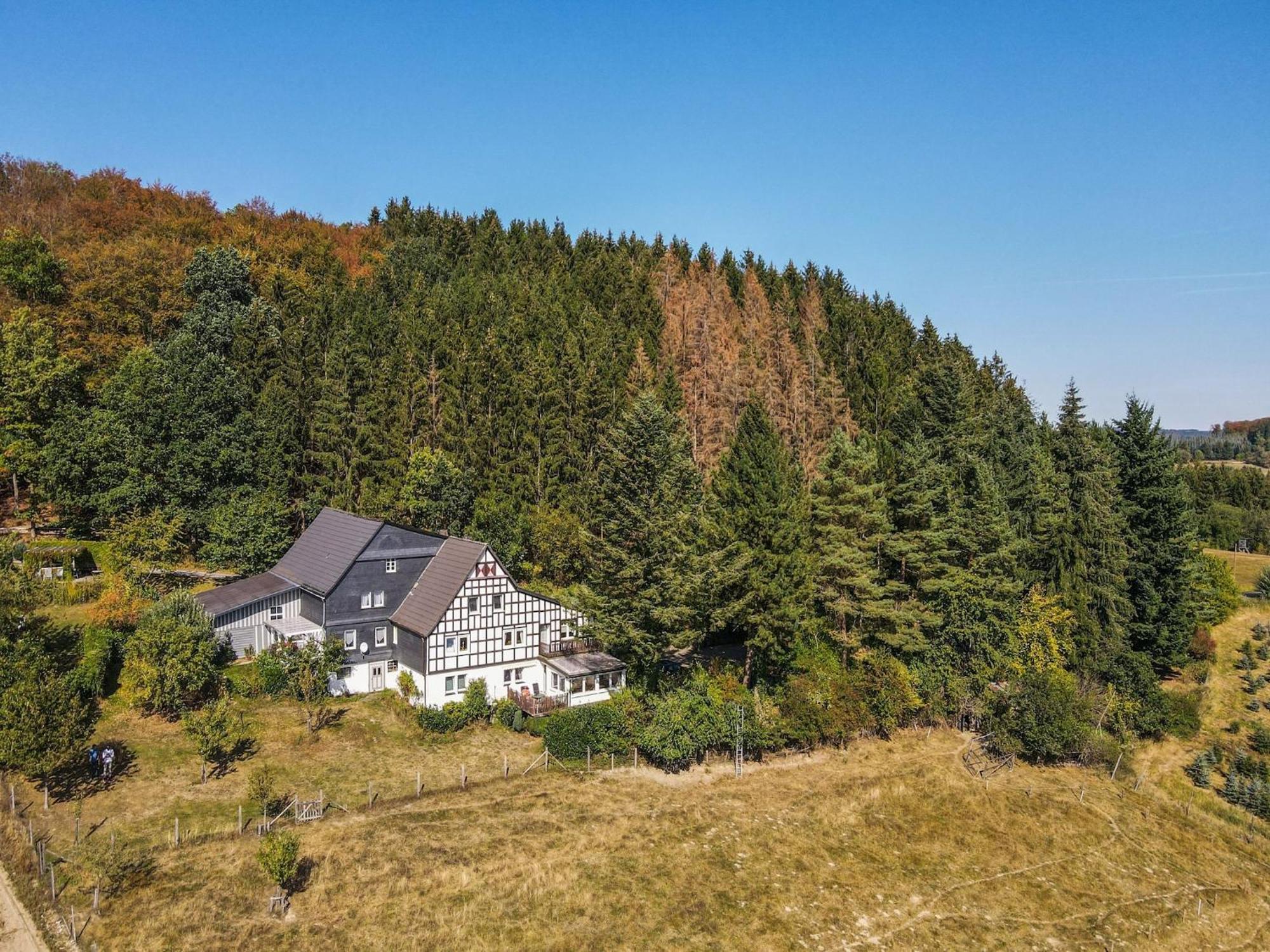 Cosy Apartment In Menkhausen Near The Ski Area Schmallenberg Eksteriør bilde
