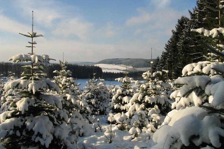 Cosy Apartment In Menkhausen Near The Ski Area Schmallenberg Eksteriør bilde